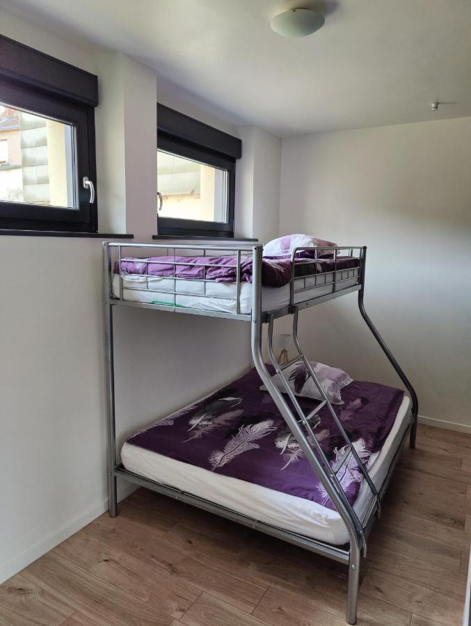 Le Purple, Appartement De Standing En Hypercentre Sarreguemines Bagian luar foto