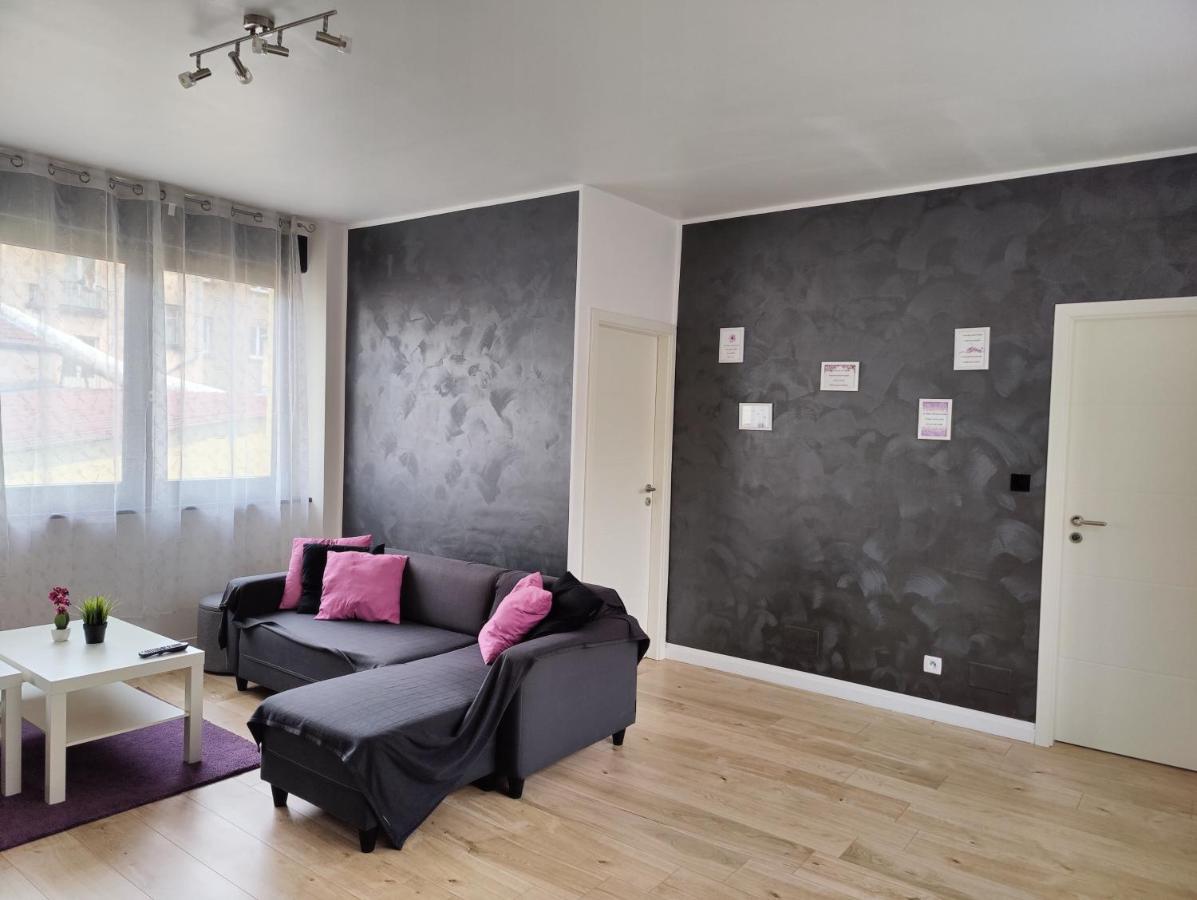 Le Purple, Appartement De Standing En Hypercentre Sarreguemines Bagian luar foto