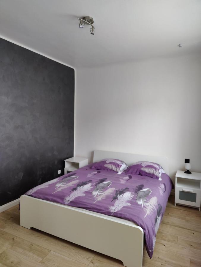 Le Purple, Appartement De Standing En Hypercentre Sarreguemines Bagian luar foto